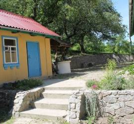malva-ozerna-2