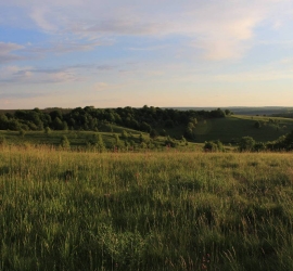 skeli-malovnychogo-nadrossia-11