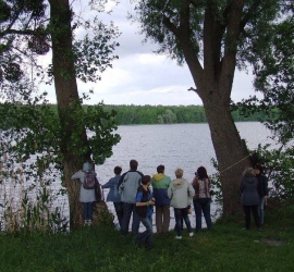 skeli-malovnychogo-nadrossia-14