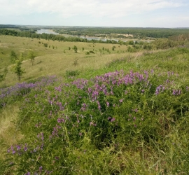 skeli-malovnychogo-nadrossia-19
