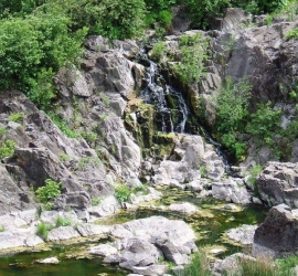 skeli-malovnychogo-nadrossia-3