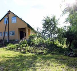 malva-ozerna-3