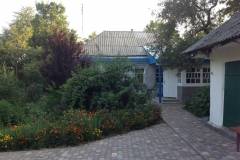 malva-gorishnia-1