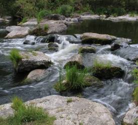 skeli-malovnychogo-nadrossia-5